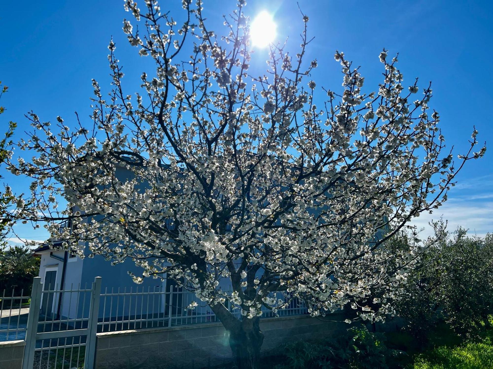 A Casa Di Marco Guesthouse - Apt Di Ciampino E Stazione Per Roma Marino Exterior foto